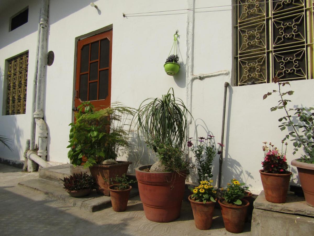 ג'איפור Nadya Homestay For Female & Family מראה חיצוני תמונה